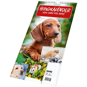 64. Hundkalender - kom-ihåg för 2025